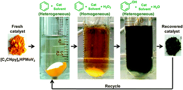 Graphical abstract: Phase-transfer hydroxylation of benzene with H2O2 catalyzed by a nitrile-functionalized pyridinium phosphovanadomolybdate