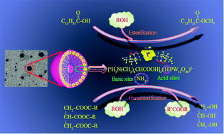 Graphical abstract: Acid–base bifunctional HPA nanocatalysts promoting heterogeneous transesterification and esterification reactions
