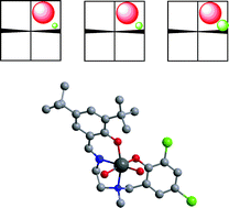 Graphical abstract: Zirconium and hafnium Salalen complexes in isospecific polymerisation of propylene