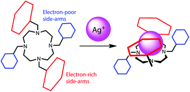 Graphical abstract: Argentivorous molecules with two kinds of aromatic side-arms: intramolecular competition between side-arms