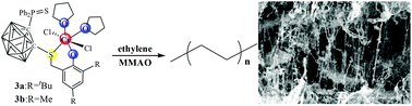 Graphical abstract: Ethylene polymerization by new chromium catalysts based on carborane [SSO] ligands