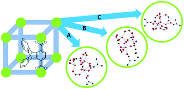 Graphical abstract: New metal–organic frameworks from triptycene: structural diversity from bulky bridges