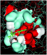 Graphical abstract: Peculiar reactivity of a di-imine copper(ii) complex regarding its binding to albumin protein