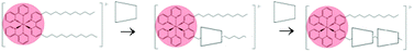Graphical abstract: Interaction between monomers of two surfactants derived from the [Ru(2,2′-bpy)3]2+ complex and α, β and γ-cyclodextrins: formation of [2]- and [3]-pseudorotaxanes
