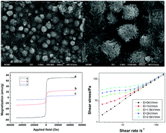 Graphical abstract: The synthesis and properties of bifunctional and intelligent Fe3O4@titanium oxide core/shell nanoparticles