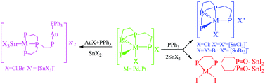 Graphical abstract: Tuneable reactivity with PPh3 and SnX2 of four- and five-coordinate Pd(ii) and Pt(ii) complexes containing polyphosphines