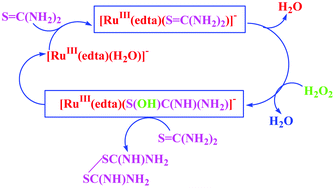 Graphical abstract: Selective oxidation of thiourea with H2O2 catalyzed by [RuIII(edta)(H2O)]−: kinetic and mechanistic studies