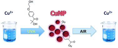 Graphical abstract: Oxidation of copper nanoparticles in water: mechanistic insights revealed by oxygen uptake and spectroscopic methods