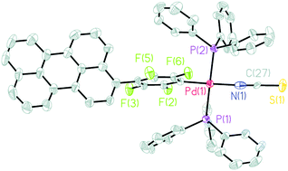 Graphical abstract: Highly fluorescent complexes with gold, palladium or platinum linked to perylene through a tetrafluorophenyl group