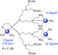 Graphical abstract: Anionic sulfonated and carboxylated PPI dendrimers with the EDA core: synthesis and characterization of selective metal complexing agents