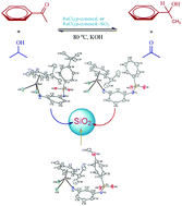 Graphical abstract: Synthesis and characterization of SiO2-supported ruthenium complexes containing aromatic sulfonamides: as catalysts for transfer hydrogenation of acetophenone