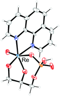 Graphical abstract: Mixed sugar-core–phosphate chelation of d-fructose 1,6-bisphosphate with the ReVO(tmen) metal fragment