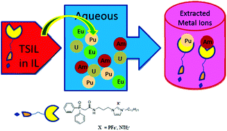 Graphical abstract: A novel CMPO-functionalized task specific ionic liquid: synthesis, extraction and spectroscopic investigations of actinide and lanthanide complexes