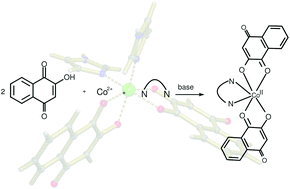 Graphical abstract: Cobalt lawsone complexes: searching for new valence tautomers