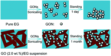 Graphical abstract: Remarkable improvements in the stability and thermal conductivity of graphite/ethylene glycol nanofluids caused by a graphene oxide percolation structure