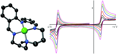 Graphical abstract: Complexes of a porphyrin-like N4-donor Schiff-base macrocycle