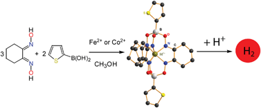 Graphical abstract: Iron vs. cobalt clathrochelate electrocatalysts of HER: the first example on a cage iron complex
