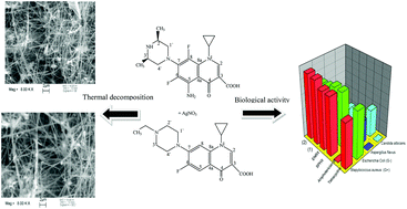 Graphical abstract: Silver(i) complexes as precursors to produce silver nanowires: structure characterization, antimicrobial activity and cell viability