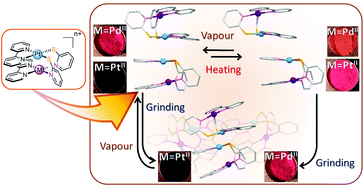 Graphical abstract: Vapour and mechanically induced chromic behaviour of platinum complexes with a dimer-of-dimer motif and the effects of heterometal ions