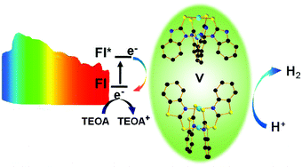 Graphical abstract: Efficient photo-driven hydrogen evolution by binuclear nickel catalysts of different coordination in noble-metal-free systems