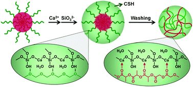 Graphical abstract: Amorphous calcium silicate hydrate/block copolymer hybrid nanoparticles: synthesis and application as drug carriers