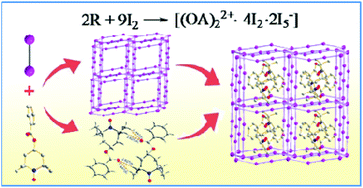 Graphical abstract: Anionic 3D cage networks self-assembled by iodine and V-shaped pentaiodides using dimeric oxoammonium cations produced in situ as templates
