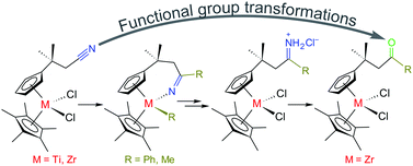 Graphical abstract: Synthetic transformations of a pendant nitrile moiety in group 4 metallocene complexes