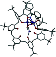 Graphical abstract: Complementary ligands direct the formation of a calix[8]arene-supported ferromagnetic MnIVMnIII dimer