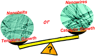 Graphical abstract: The competition between template growth and catalytic growth of one-dimensional ZnS nanostructures: nanobelts or nanowires