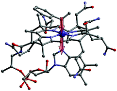 Graphical abstract: Phenylvinylcobalamin: an alkenylcobalamin featuring a ligand with a large trans influence
