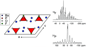 Graphical abstract: The crystal structure of BaPO3F revisited – a combined X-ray diffraction and solid-state 19F, 31P MAS NMR study