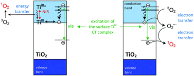 Graphical abstract: New insight into singlet oxygen generation at surface modified nanocrystalline TiO2 – the effect of near-infrared irradiation