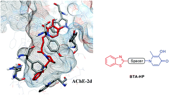 Graphical abstract: Multifunctional iron-chelators with protective roles against neurodegenerative diseases