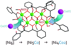 Graphical abstract: Stepwise replacement of nickel with cobalt ions in a [Ni6] cluster