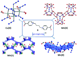 Graphical abstract: Structures and magnetic properties of copper(ii) and manganese(ii) polymers derived from pseudohalides and a flexible zwitterionic dicarboxylate ligand