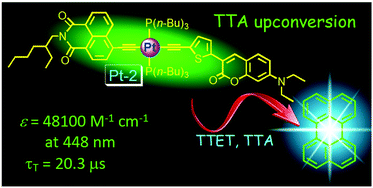 Graphical abstract: Visible light-harvesting trans bis(alkylphosphine) platinum(ii)-alkynyl complexes showing long-lived triplet excited states as triplet photosensitizers for triplet–triplet annihilation upconversion