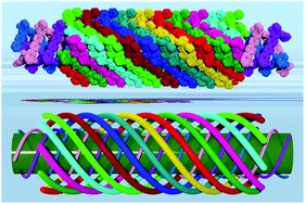 Graphical abstract: A 3D porous metal–organic framework containing nanotubes based on multiple helices