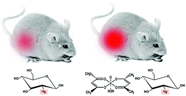 Graphical abstract: The vanadyl chelate bis(acetylacetonato)oxovanadium(iv) increases the fractional uptake of 2-(fluorine-18)-2-deoxy-d-glucose by cultured human breast carcinoma cells