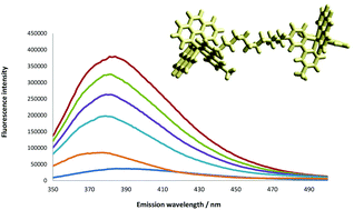 Graphical abstract: Protein binding by dinuclear polypyridyl ruthenium(ii) complexes and the effect of cucurbit[10]uril encapsulation