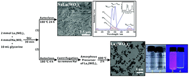 Graphical abstract: Pure-phase La2(WO4)3:Eu3+ nanocrystals and spindle-like NaLa(WO4)2:Yb3+/Er3+ nano/microcrystals: selective synthesis, morphologies and photoluminescent properties