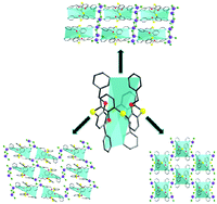 Graphical abstract: Molecular tectonics: p-H-thiacalix[4]arene pyridyl appended positional isomers as tectons for the formation of 1D and 2D mercury coordination networks