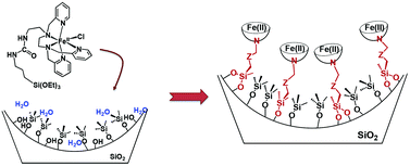 Graphical abstract: Confinement of a bioinspired nonheme Fe(ii) complex in 2D hexagonal mesoporous silica with metal site isolation