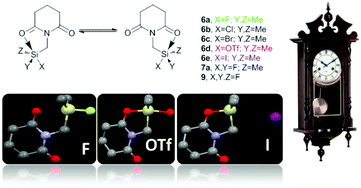 Graphical abstract: Pentacoordinate silicon complexes with dynamic motion resembling a pendulum on the SN2 reaction pathway