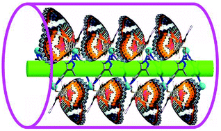 Graphical abstract: A green luminescent 1-D helical tubular dipyrazol-bridged cadmium(ii) complex: a coordination tube included in a supramolecular tube