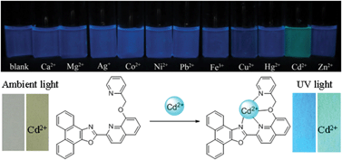 Graphical abstract: A highly selective ratiometric fluorescent chemosensor for Cd2+ ions