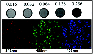 Graphical abstract: Yolk-type Au@Fe3O4@C nanospheres for drug delivery, MRI and two-photon fluorescence imaging