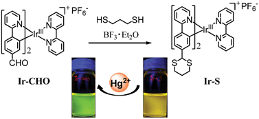 Graphical abstract: A highly selective and sensitive ratiometric chemodosimeter for Hg2+ ions based on an iridium(iii) complex via thioacetal deprotection reaction