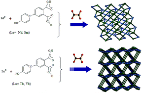 Graphical abstract: A series of 3D lanthanide frameworks constructed from aromatic multi-carboxylate ligand: Structural diversity, luminescence and magnetic properties