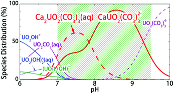 Graphical abstract: Formation of ternary CaUO2(CO3)32− and Ca2UO2(CO3)3(aq) complexes under neutral to weakly alkaline conditions