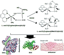 Graphical abstract: Ternary copper(ii)-polypyridyl enantiomers: aldol-type condensation, characterization, DNA-binding recognition, BSA-binding and anticancer property